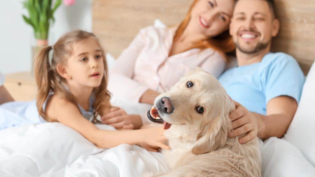 Family happy bonding with dog