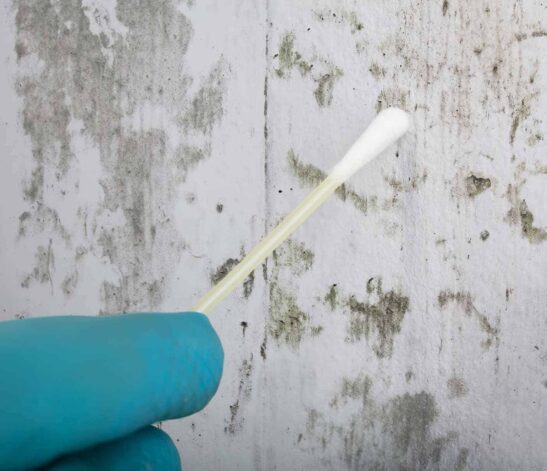 Wall examination